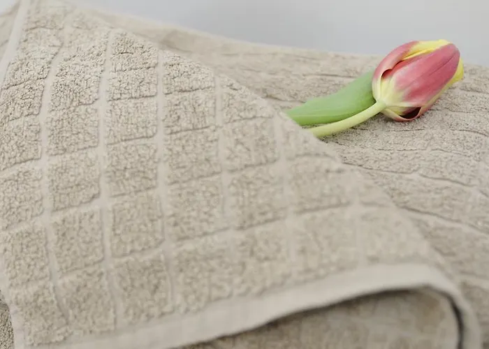 De Lights * Грац